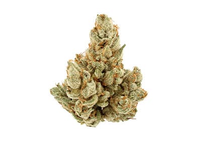 THCa indoor flower — indica, sativa, hybrid, terpene-rich, cure quality verified