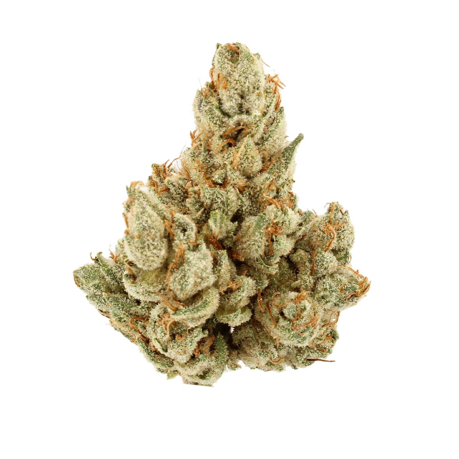 Indoor-grown THCa flower — Indica, Sativa and Hybrid
