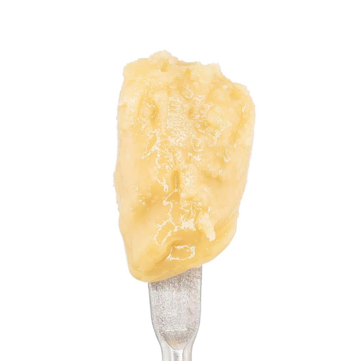 Close-up of White Label THCa honey dab on a metal applicator.