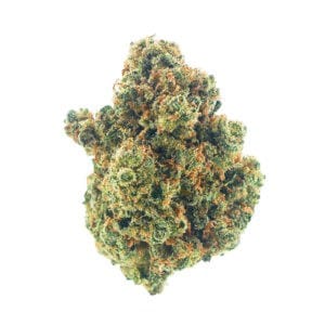 High-quality Jack Herer THCa cannabis flower for premium consumption.