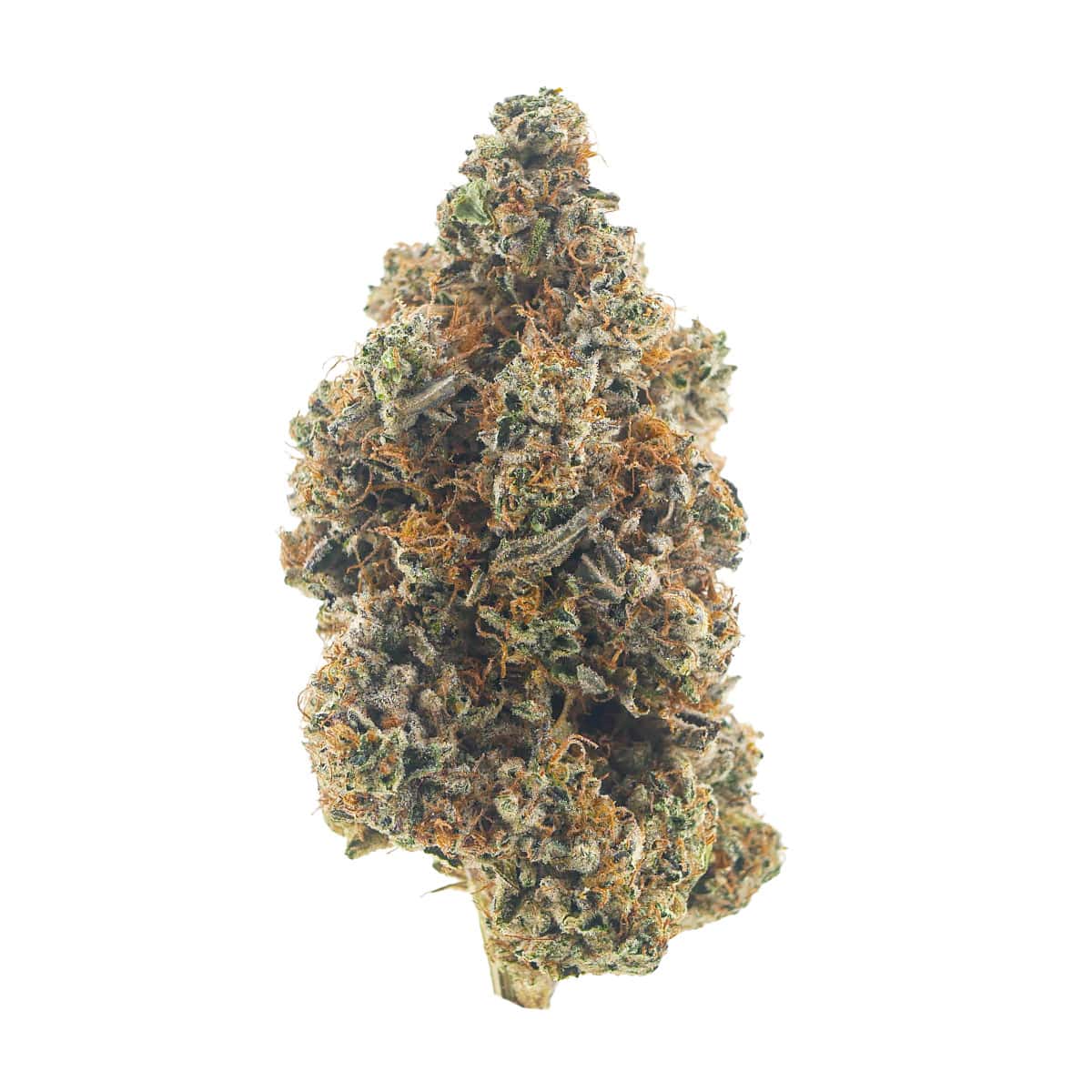 THCa cannabis flower for premium quality and potency.