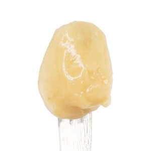 white-label-exotics-thca-concentrate-cold-cure-Banana-Zplit-scoop