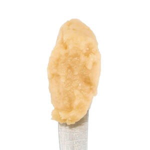 white-label-exotics-thca-concentrate-cold-cure-grape-lobster-scoop