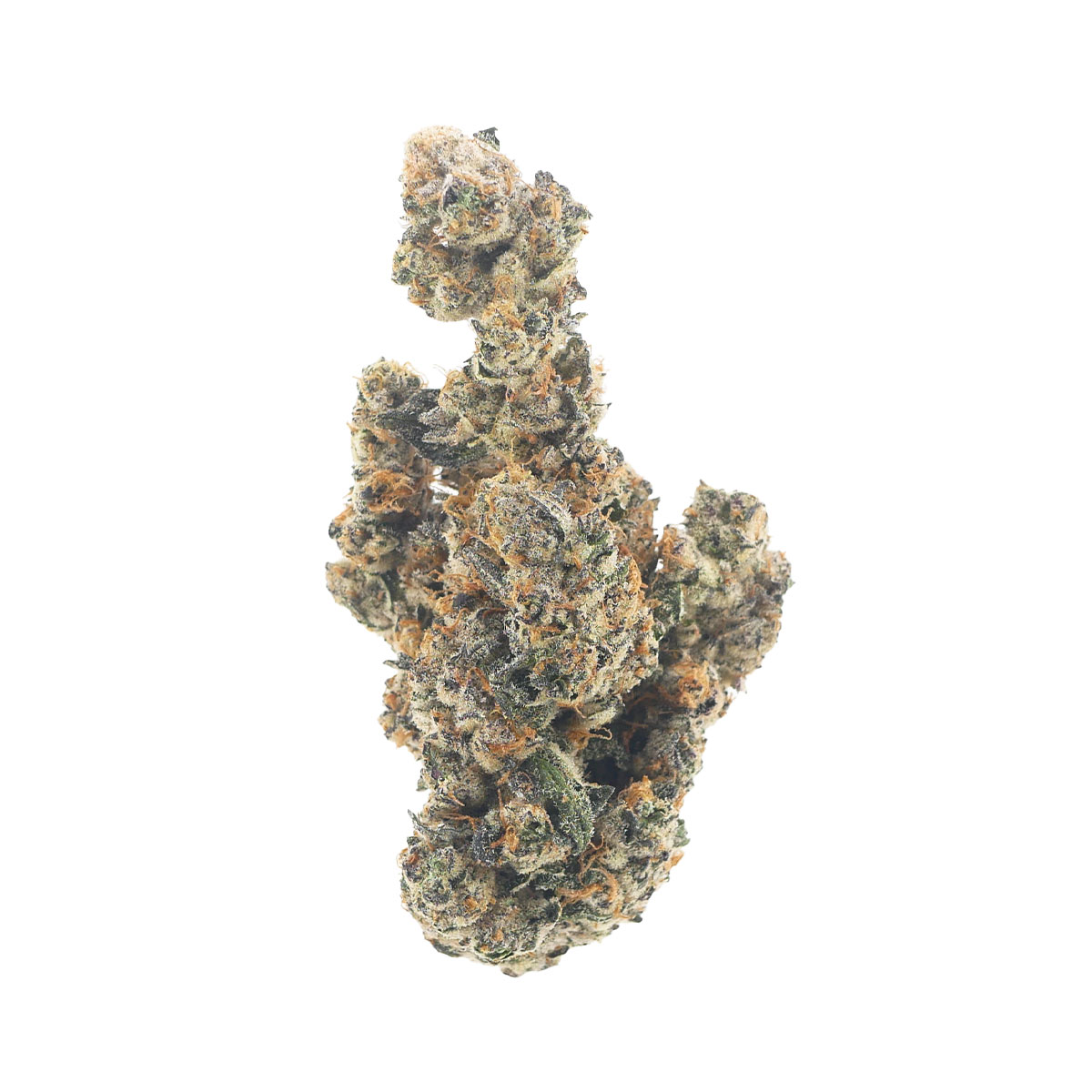 white-label-exotics-thca-flower-french-lotus