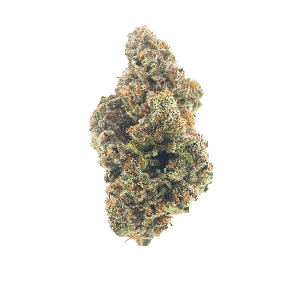 white-label-exotics-thca-flower-sour-zimosa
