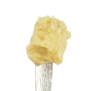 white-label-exotics-thca-concentrate-cold-cure-burger-oasis