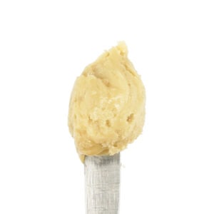 white-label-exotics-thca-concentrate-cold-cure-tropical-punch-scoop