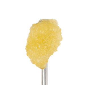 white-label-exotics-thca-concentrates-live-resin-sugar-sangria