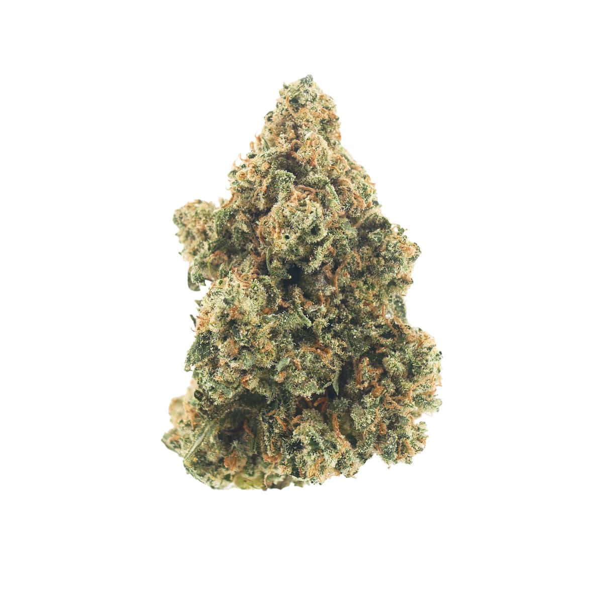Jack Herer