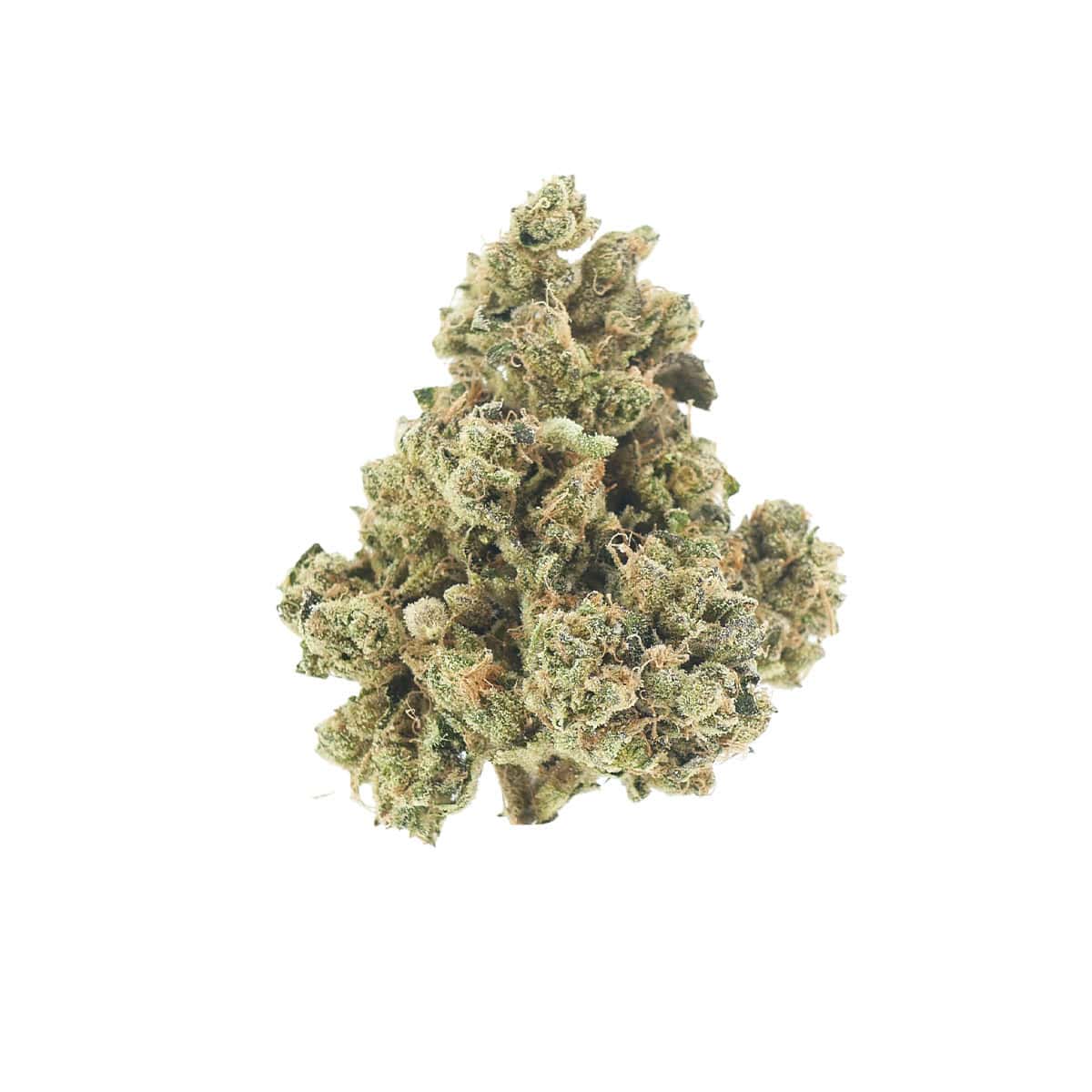 Premium cannabis flower infused with THCa for enhanced effects.