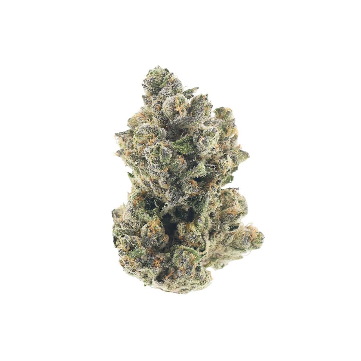 Premium cannabis flower infused with THCa for enhanced effects.